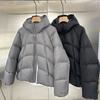 Mens Down Puffer Jacket Winter Warmth Thick Hooded Duck Coat Casual Fashion