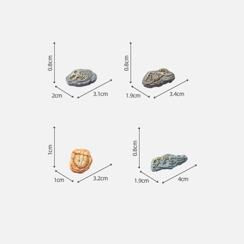 Desktop Decor with Realistic Dinosaur Fossil Miniatures Set of 4 for Unique DIY Projects