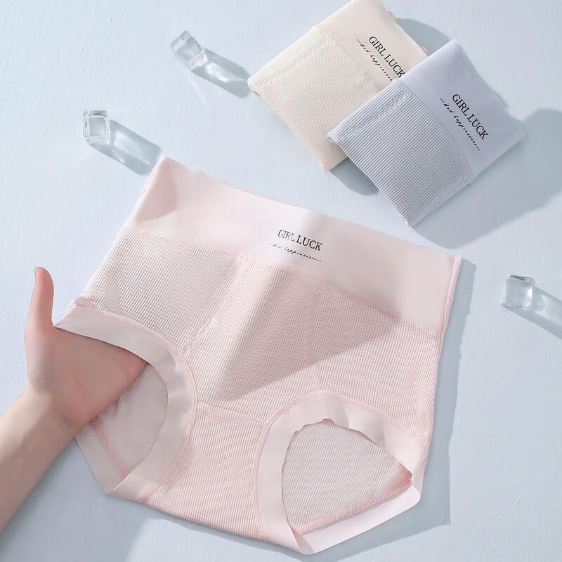 Tingmei Women's Plus Size High-Waist Seamless Briefs Multi-pack