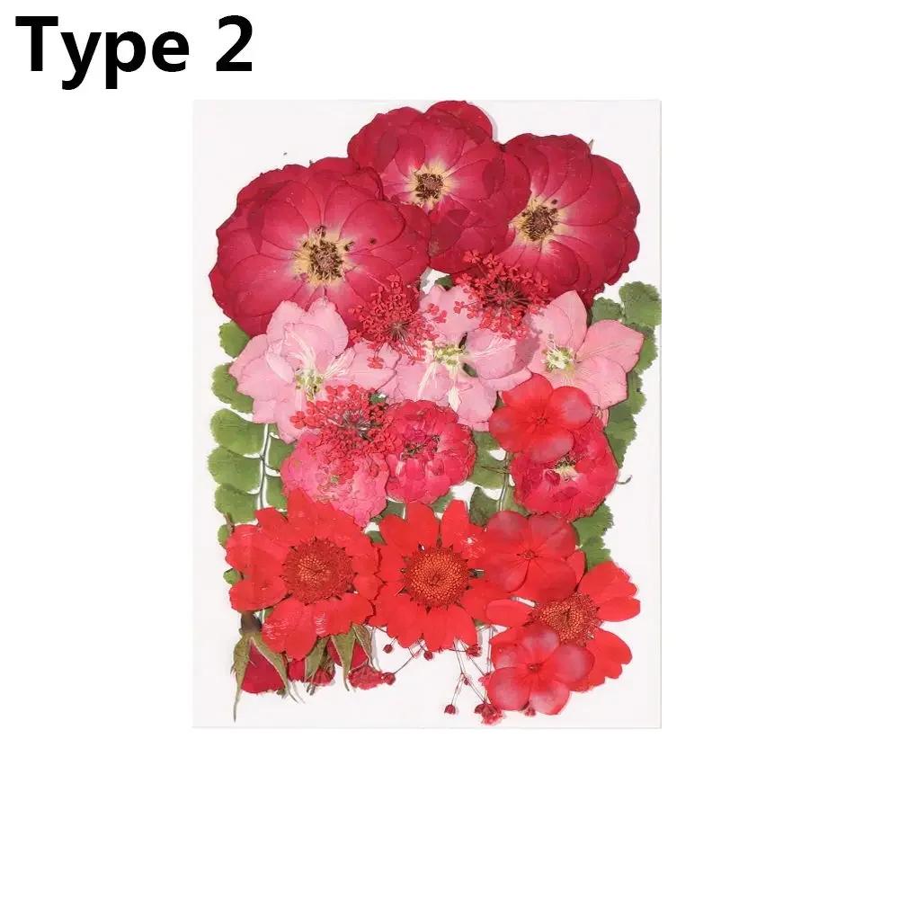 Dried Flowers UV Resin Decorative Natural Flower Stickers 3D Pressed Dried Flowers Beauty Decal Nail Art Epoxy Mold Filling