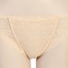BARBARA Skin Lace Brief Abp4448 