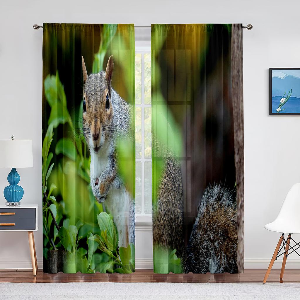 Squirrel Standing on Tree Branch Animal Sheer Voile Curtains for Living Room Modern Curtains for Kitchen Chiffon Tulle Curtain