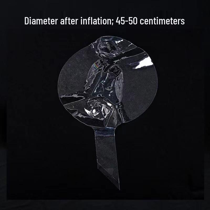 Influencer Bobo Balloon No-Stretch Bouquet - Transparent Wedding & Birthday Decoration