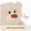 GUND Bubbles Bear 6068678