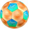 Ronaldo's Soccer Legacy Size 5 Soccer Football Machine-Stitched Indoor/Outdoor Universal Football Sports Enthusiast Gifts