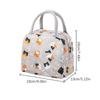 Insulated Lunch Bag For Camping Picnic Bento Cooler Bag Ice Pack Lunch Box