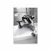 Funny Cat Bathroom Canvas Wall Art Posters Black And White Funny Animal Picture Wall Art Prints Canvas Painting Toilet Decor