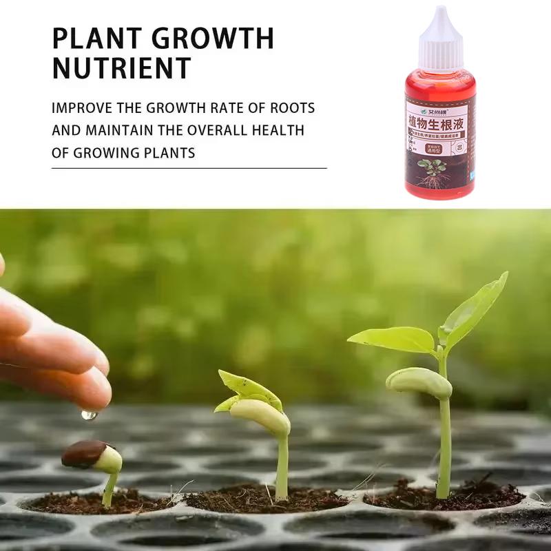 5 buc Stimulator de Înrădăcinare Rapidă Agent de Înrădăcinare Rapidă pentru Plante Stimulator de Rădăcini pentru Plante Supliment pentru Rădăcini Accesorii de Grădinărit