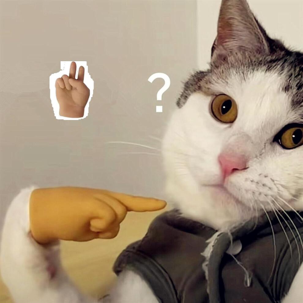 Mini ruce pro kočičí tlapky Mini složené gumové prsty pro malé kočičí drápky Kryty 6 kusů