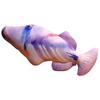 Cartoon Simulated Sea Fish Pillow Hugging Pillows Fish Anime Pillow Dolls  Toy for Little Kids