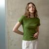 KELLY DONAHUE Cotton Slim Basic T-Shirt_Green