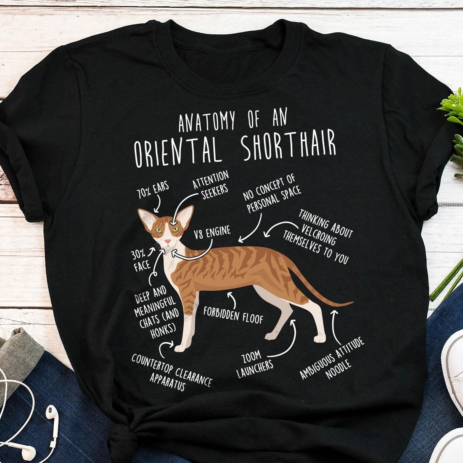 Oriental Shorthair Cat Shirt, , , Funny Red Tabby Oriental Shorthair Gift, Cute Pet T-shirt Cat Lover Tshirt Orange Bi Color Mom Dad 130