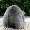 18cm Simulation Plush Hamster Animal Plush Stuffed Doll Toy Home Sofa Decor