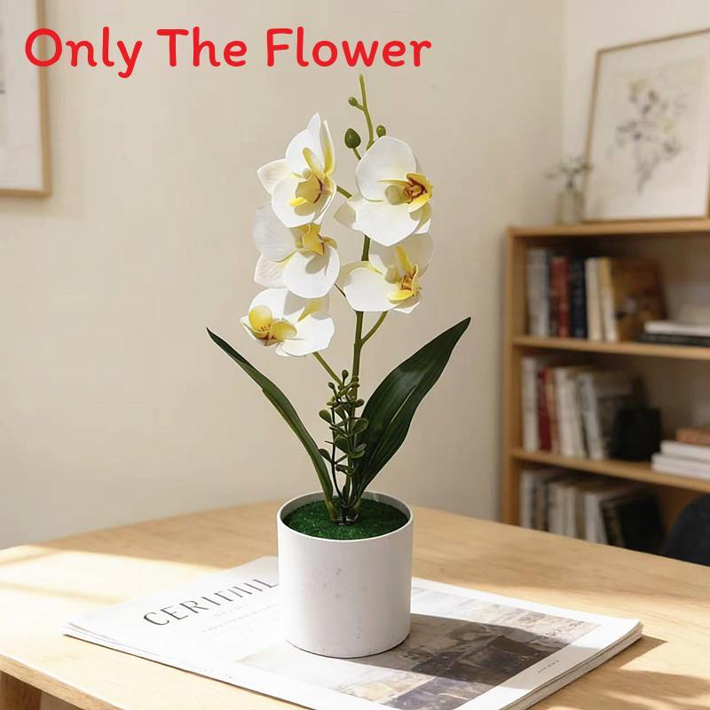 No Ip Artificial Orchid Plant With Plastic And Soft Gel For Home Decor And Photography Props