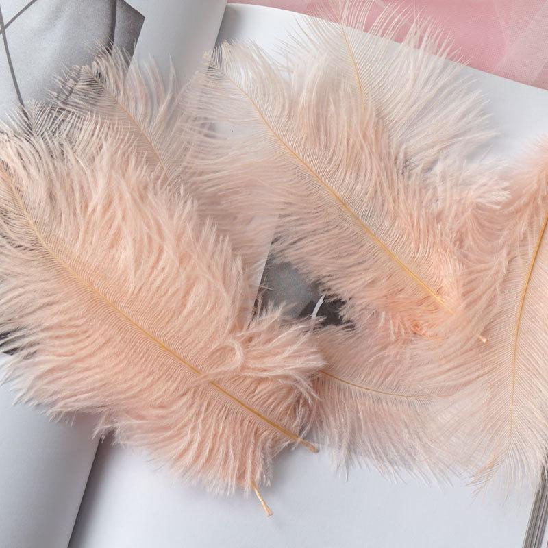 Colored Ostrich Hair 15-20Cm Wedding Ornament Wall Decoration Feather Wall Hand Bouquet Diy Dream Catcher Material