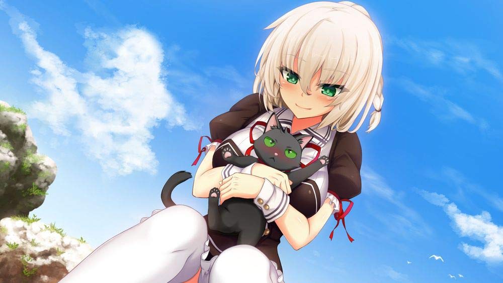 and Stray Cat Heart HD TV anime and Stray Cat Chaos TCG and Stray Cat PR card included PS4 Nora, Princess, [Bundle Bonus] "Nora, Princess, Heart" DVD,