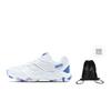 Li Ning Badminton Shoes Unisex Low top White, Blue, Purple AYTT021-2