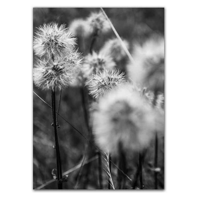 

Держась за руки пара художественные принты плакат черно-белый морской пейзаж картина красивый цветок одуванчика Настенный декор HD0117 21x30cm no frame