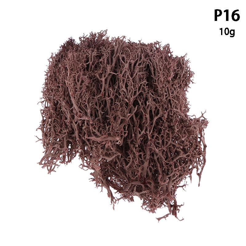 Colorful Natural Artificial Moss Plant DIY Dried Reindeer Moss Decor Resin Epoxy Filling Jewelry Garden Decorate Supplies