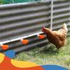 5Pcs Automatic Drinking Bowl Chicken Drinker Hanging Water Cup For Backyard Poultry