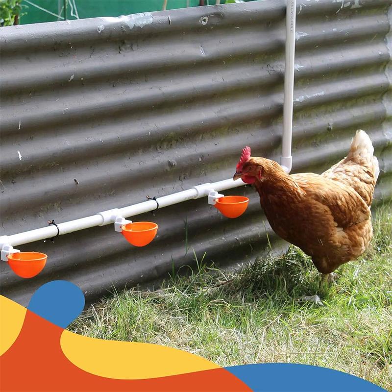5Pcs Automatic Drinking Bowl Chicken Drinker Hanging Water Cup For Backyard Poultry