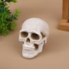 Pottery Simulation Skull Ornament Refractory Halloween Skull Props Fire Pit Skull  Fireplace