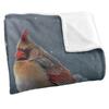 JQ Licensing Silky Cardinal Supersoft Blanket