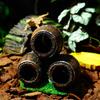 Handcrafted Resins Wine Barrels Hideaways Fish Shelter Reptiles Hide Cave for Reptiles Enclosure Amphibian Habitat