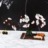 plate tray beauty seafood Sushi Decorating Flowers tree Plants Artistic Conception Decorating Ornament Creative Peach blossom