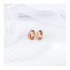 Rockyu Earrings, Women's, Adults, Pink Gold, Titanium Ring Earrings, Simple Design, Hoop Earrings, Hypoallergenic To Metal, 18K Earrings, Binaural