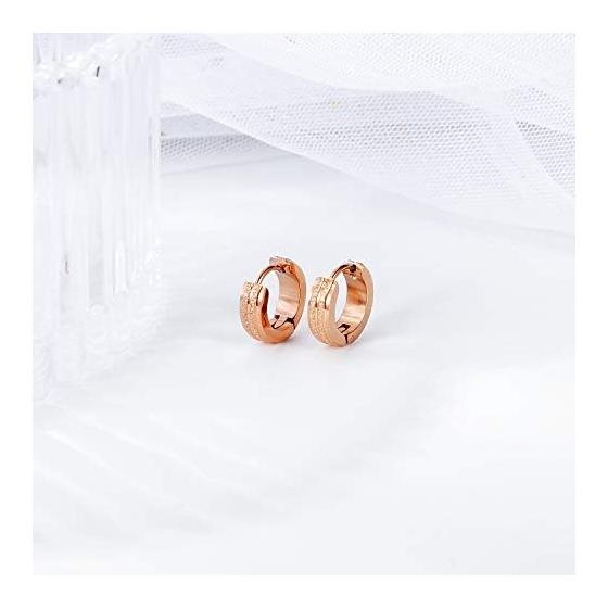 Rockyu Earrings, Women's, Adults, Pink Gold, Titanium Ring Earrings, Simple Design, Hoop Earrings, Hypoallergenic To Metal, 18K Earrings, Binaural