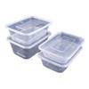 Hesdige Disposable Transparent Takeaway Food Containers