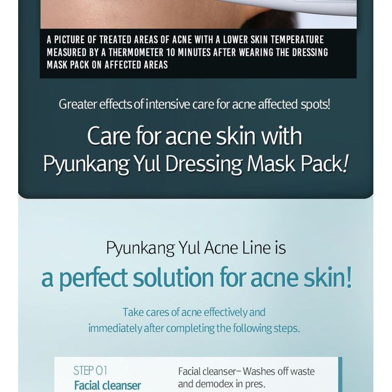 Pyunkang Yul Acne Dressing Mask Pack