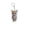 Funny Cat Memes Series Keychain Student Gift Bag Lanyard  Women's Bag Pendant Keychain Cute Things Cheap Gift for Best Friends