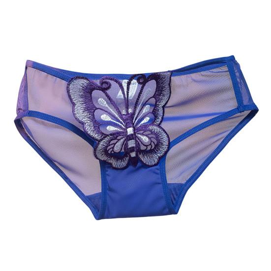 Women Underpants Butterfly Embroidery See-through Mesh Briefs Mid Waist Hollow Out Elastic