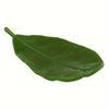 Choice| Green Leaf Soap Dish - Resin Oval Soap Box for Bathroom, Non-Slip Design, Decorative and Functional, Ideal for Shower and Sink Areas