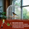 Bird Perch Toy Bendable Rope Perch Stand Portable Grinding Stick Training Toys Birdcages Accessories For Small And Medium Birds