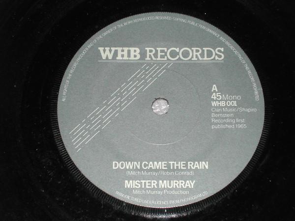 

7-дюймовая пластинка MISTER MURRAY Down Came The Rain WHB001 WHB UK Pop Б/у
