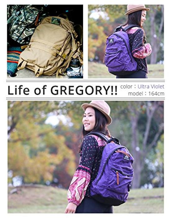 Gregory Official Easyday Backpack, Current Model, Black