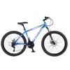 Phoenix ZB888 Disc Brake Mountain Bike