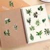 50Pcs/Set Green Leaves Series 02 PET Stickers Waterproof DIY Fashion Doodle Decals Stickers