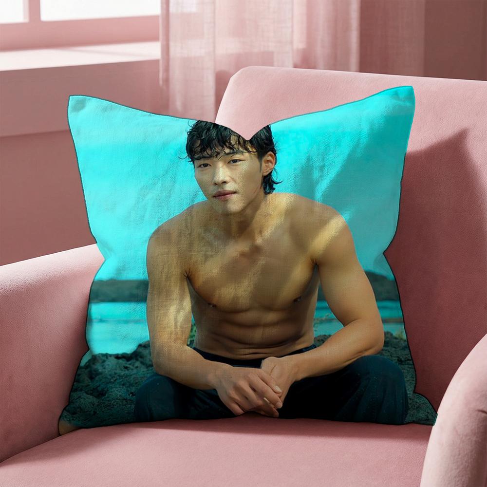 W-Woo Do H-Hwan Cushion Cover Multi-Scene Pillow Cover for Home & Car - Reversible, Soft & Durable for Daily Use