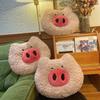 Plush Pig Cute Toy Cushion With Dual Texture For Home Office Gift Doll Kids