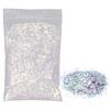 Paillettes per Unghie Polvere Scaglie Miste Glitter Scintillanti Decorazione per Unghie Scintilli 50g