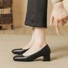 Single shoes women's medium heel 2025 autumn new Korean version fashion versatile thick heel square head grandma shoes black work shoes