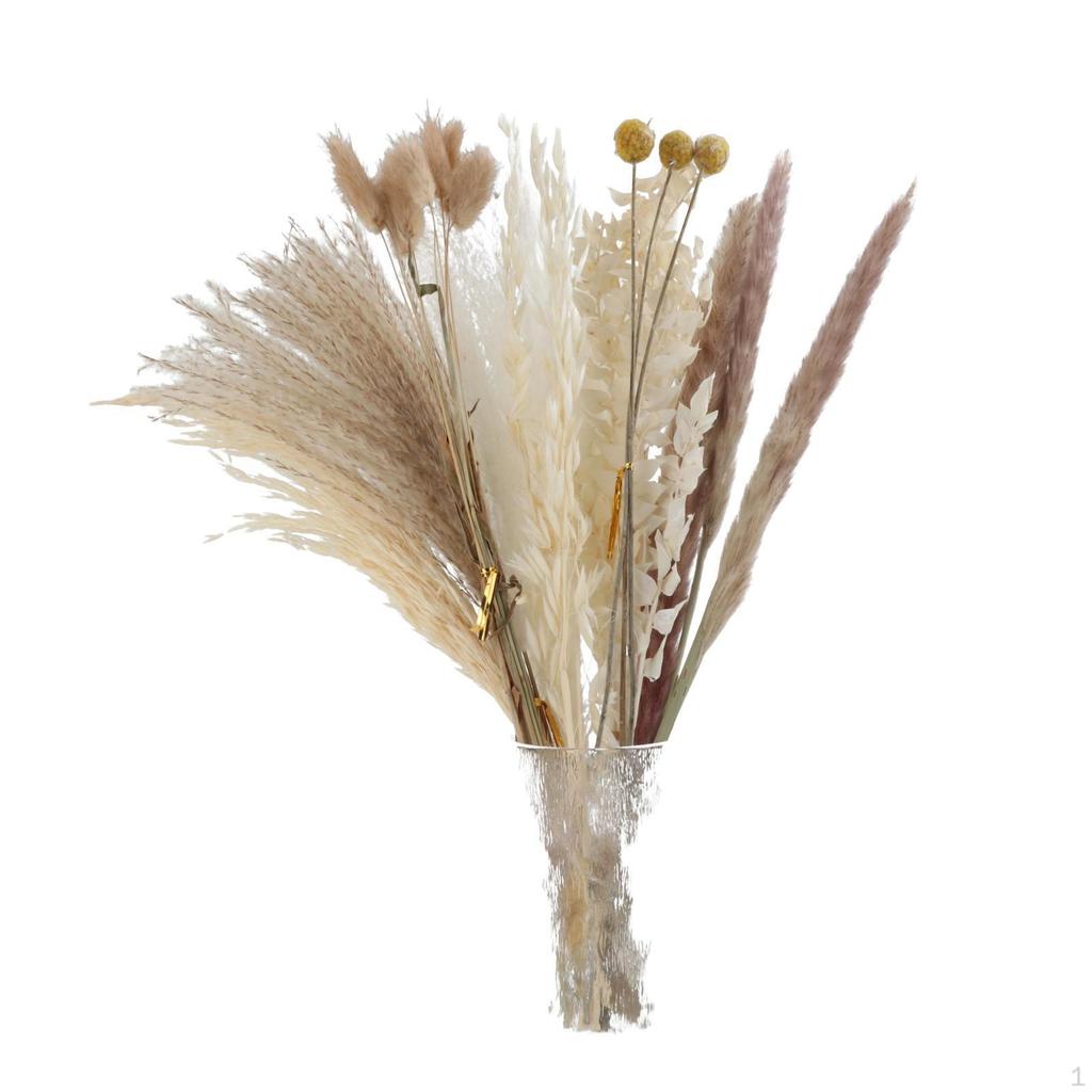 30-Piece Handpicked Dried Grass Bundle - Decor Collection