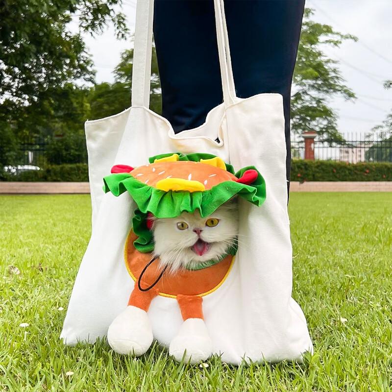 Ruizhi Peep-Out Pet Carrier for Cats & Small Dogs
