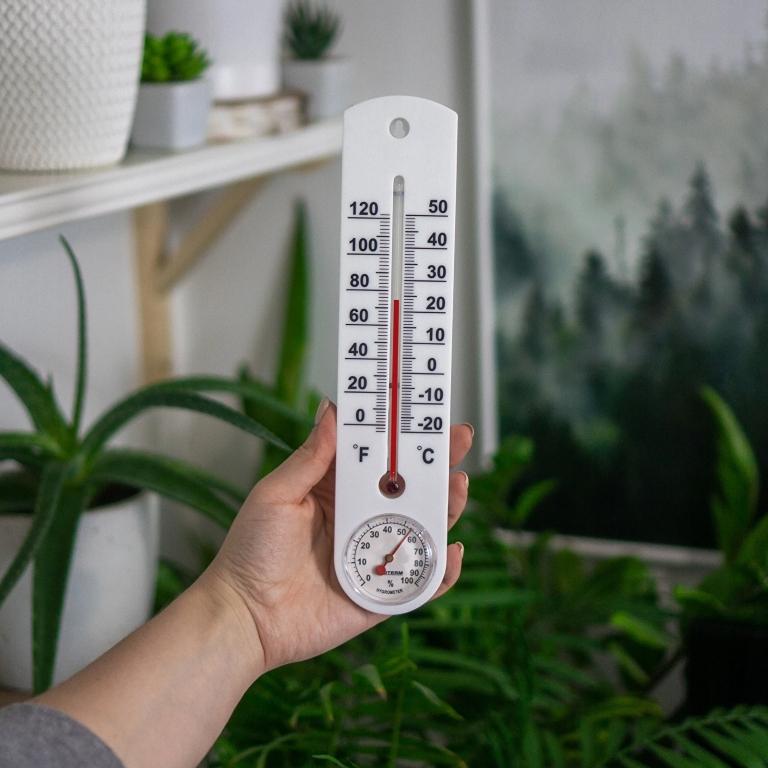 Indoor Thermometer with Hygrometer, White, 25 Cm