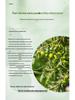 Aloe Vera Oil: Pure Plant Extract for Skincare and Massage