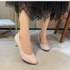 Spring and Autumn new sexy pointed large size women's shoes light rough heel workplace mouth work shoes